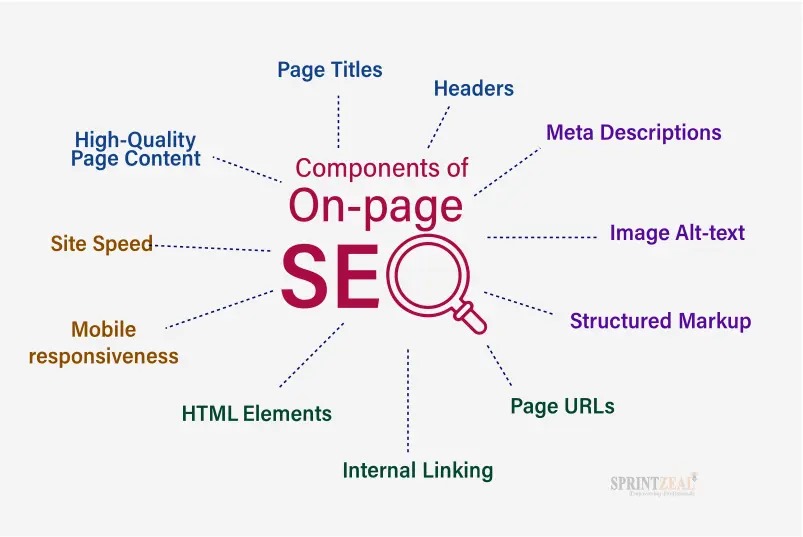 BeaconRank SEO specialist analyzing on-page elements